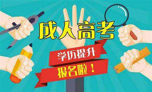宁波成人高考报考专业哪些比较热门？