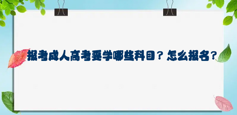 宁波成人高考要考哪些科目?怎么报名?